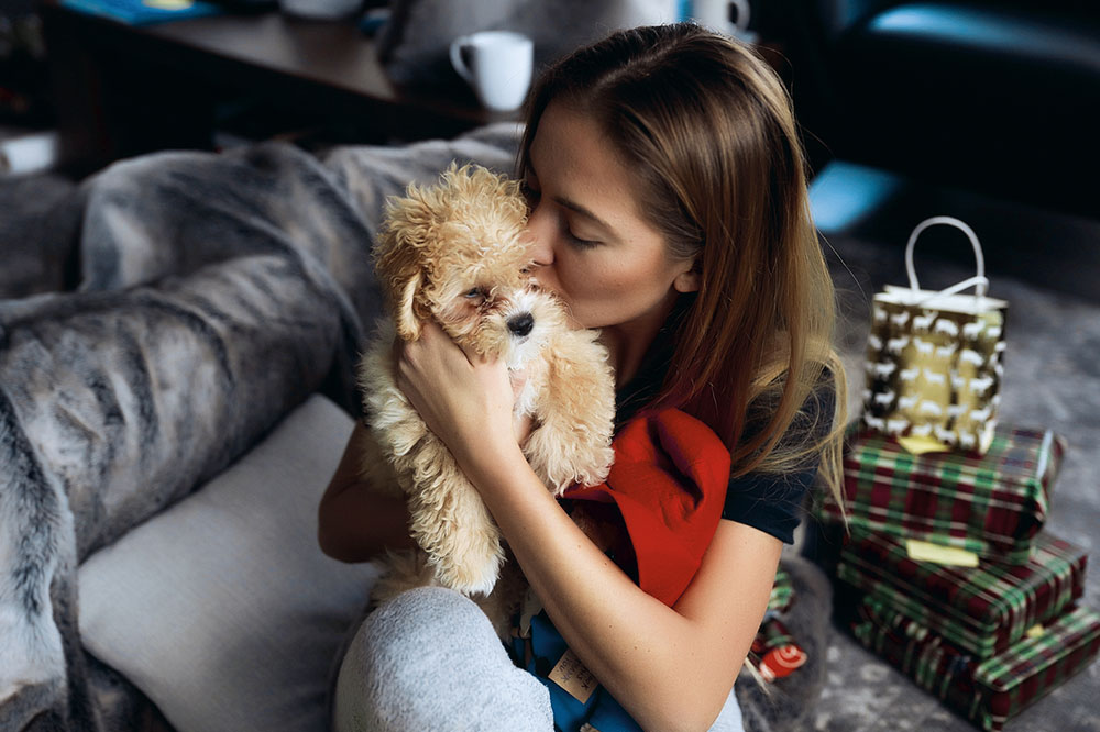 Home Remedies to Deal with Pet Toxicity