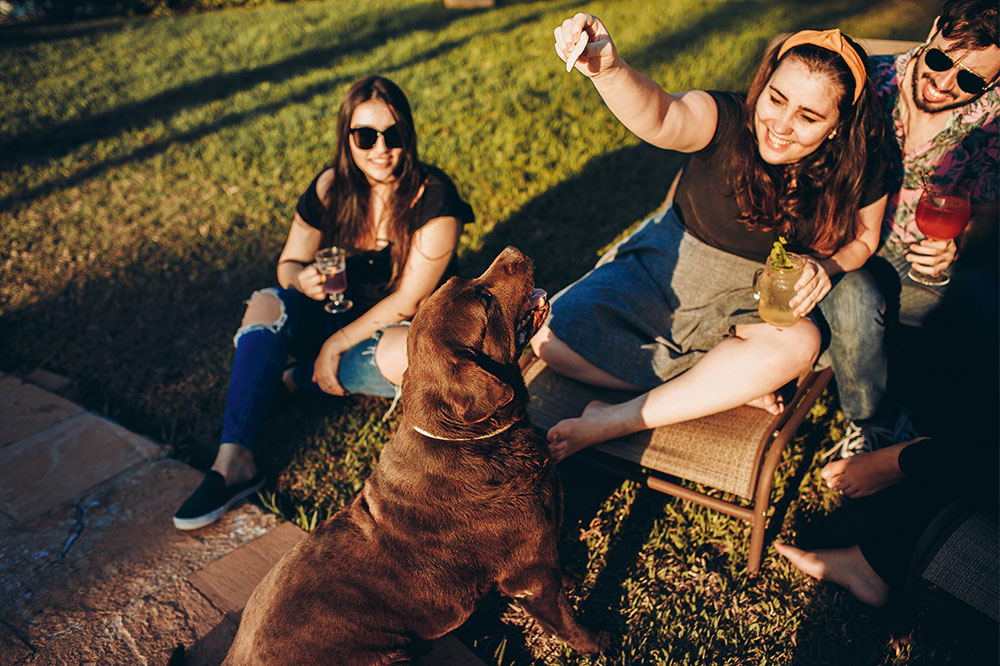 Pet-friendly Vacay Spots in the USA