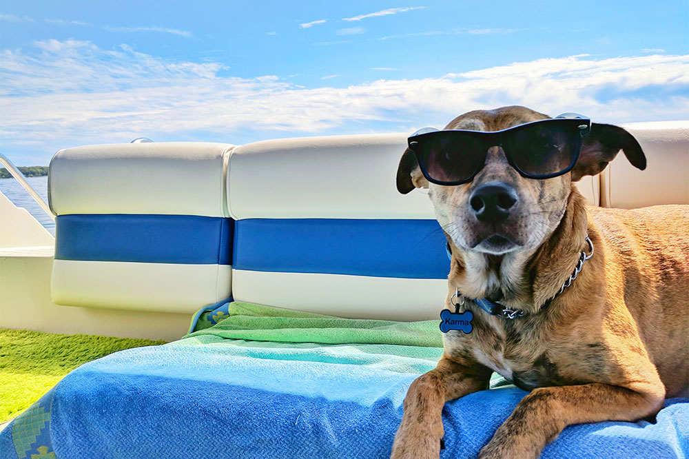 Tips for A Pet-Friendly Vacation