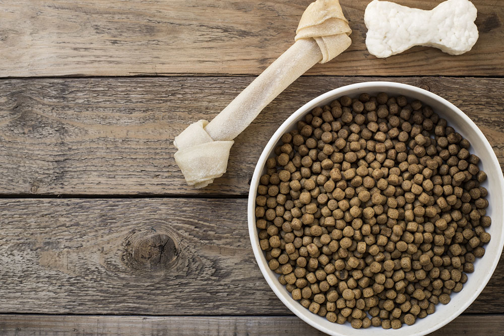 Top Dog Food Brands
